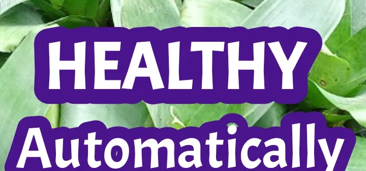 healthyautomatically.com